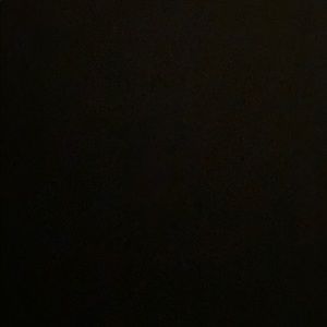 Meet your Posher, Bela